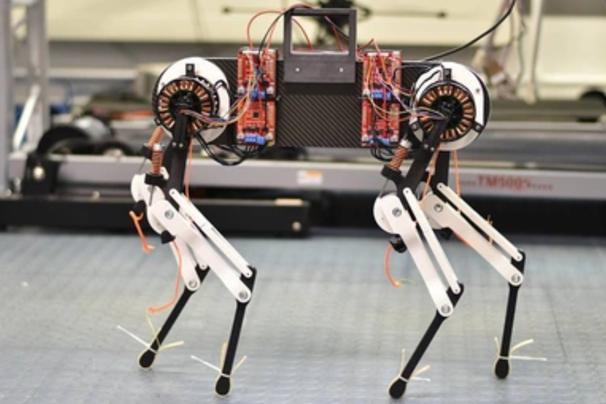 Học Robotics – Phát Triển Kỹ Năng Công Nghệ Cho Bé